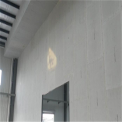 武胜宁波ALC板|EPS加气板隔墙与混凝土整浇联接的实验研讨